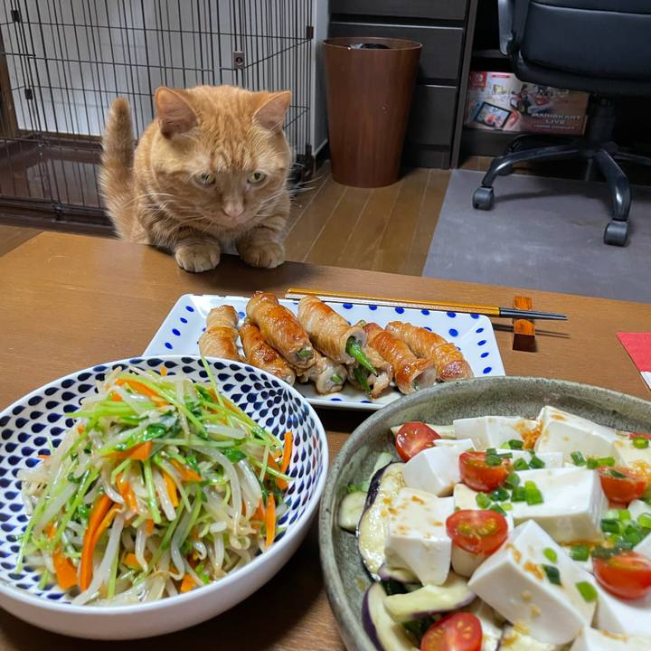 65f6b584 6c6c 4166 bda1 3b62b85c7659 1625398505795