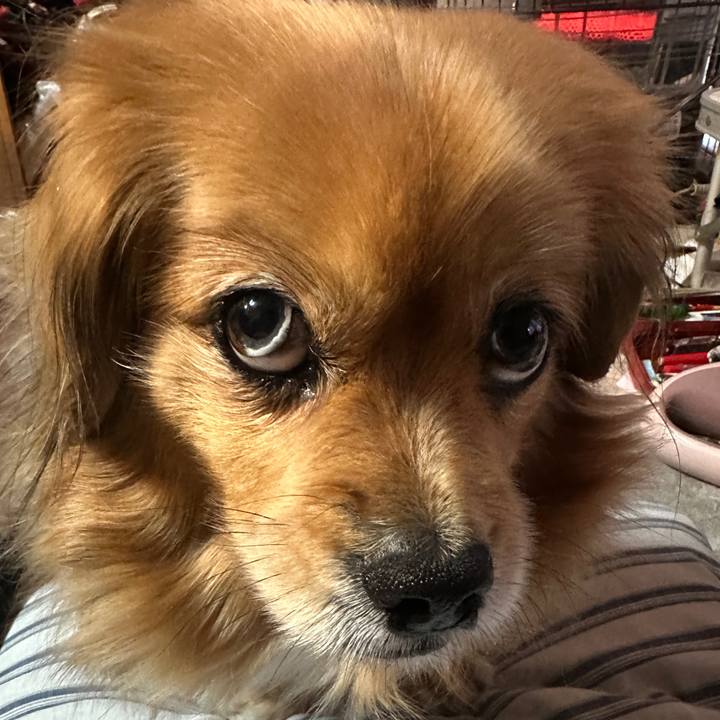 65f6c5fc 8e4f 4641 b1f7 6b620853d2b4 1710709895610