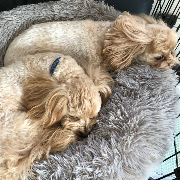 65f6e1ef 7a45 4509 a5d2 46379c9d3641 1672484154278