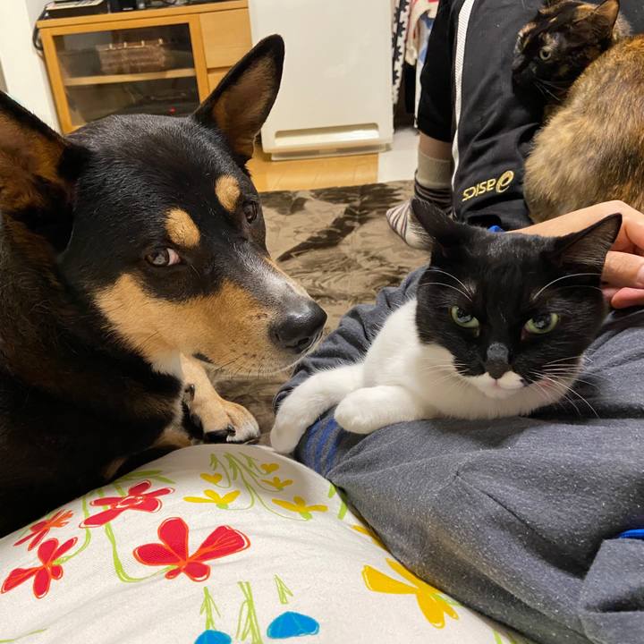 65f6f066 4ff9 4b92 9da8 e3ffddb4f10c 1602857955539