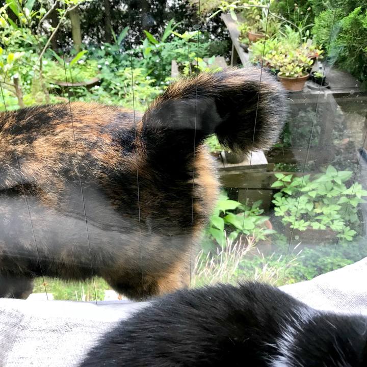 65f71801 ef5f 423a abf7 e544da2918c5 1526977644845