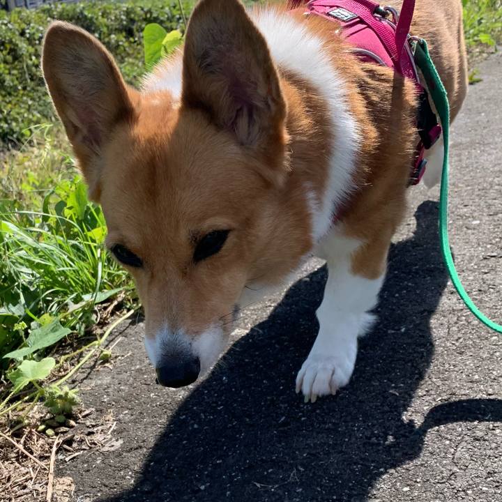 65f71ce8 e5bb 42ae a031 9fdeac303ae8 1634974516229