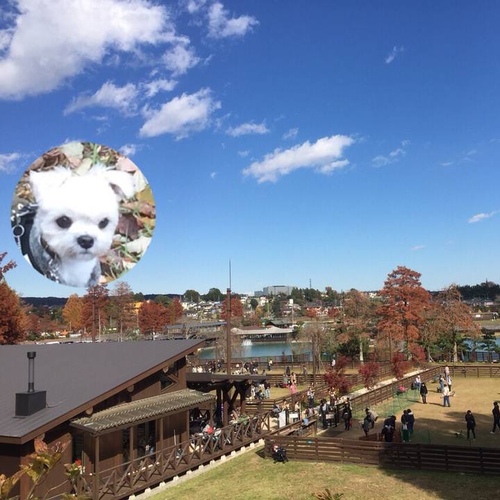 65f764fb 835f 4cbd b2d7 32f3b0f91a2b 1511350430236