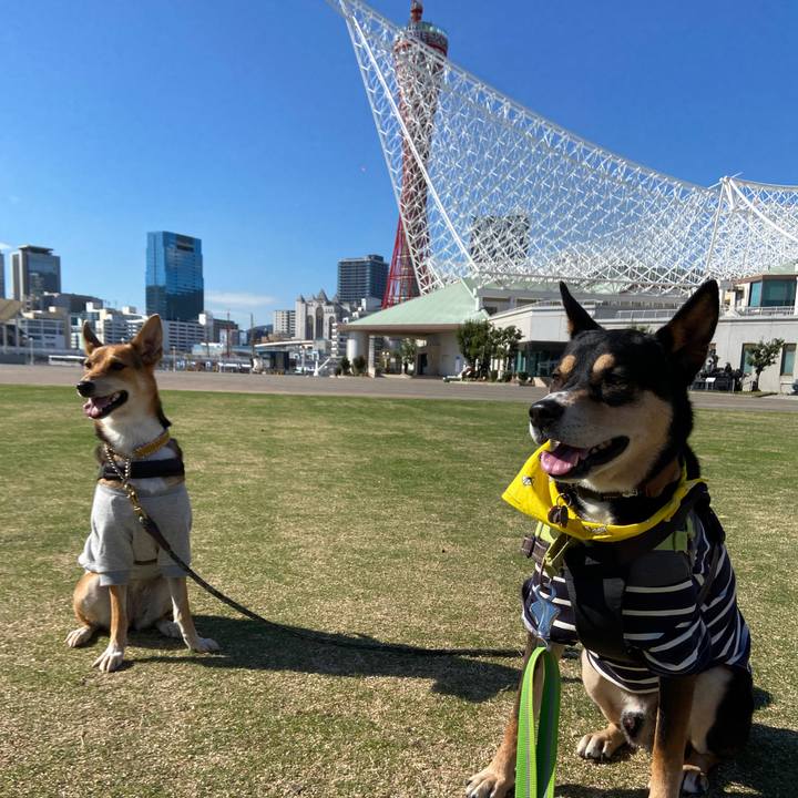 65f7964d 7d47 44b0 85c5 91b995265806 1700021321295