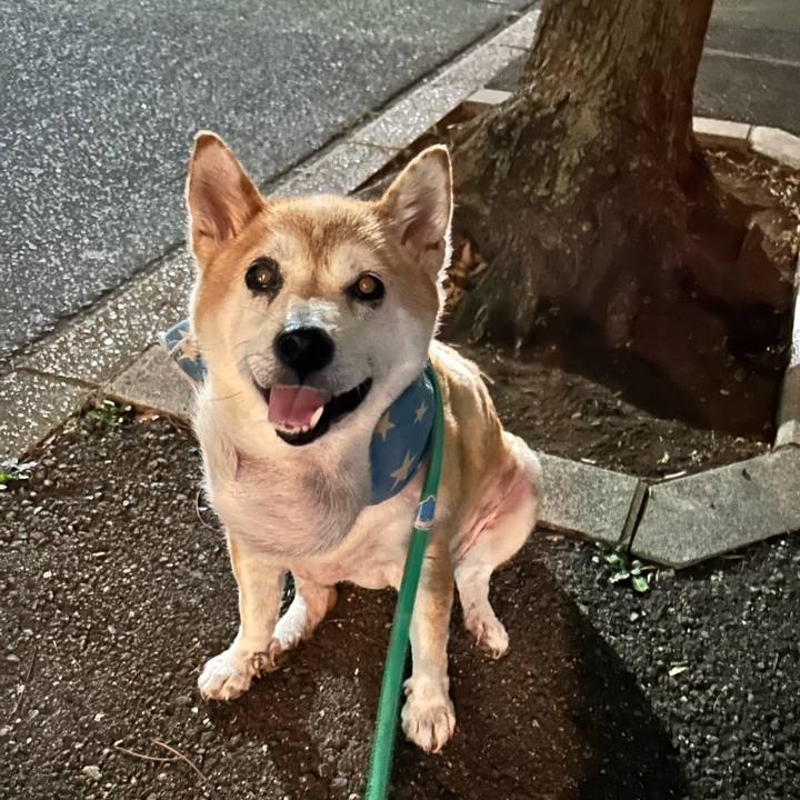 65f7a9e4 4094 44f0 a710 8dc48d3b3fa3 1756291575306