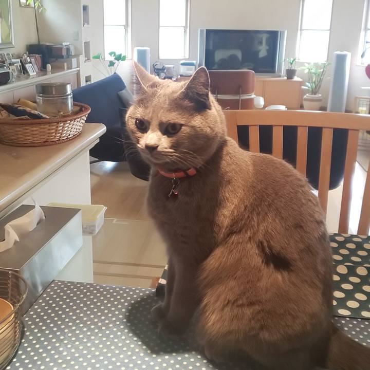 65f8343b c7cb 4f1a 8a50 44079ff1b4a3 1553816074124