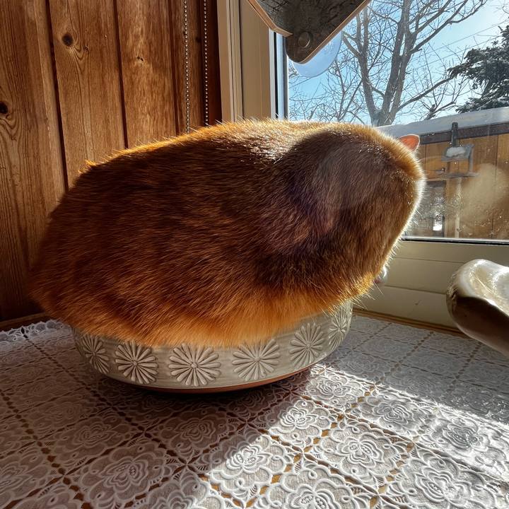 65f85877 93ee 4d5e 9df5 a37722698159 1708129777116