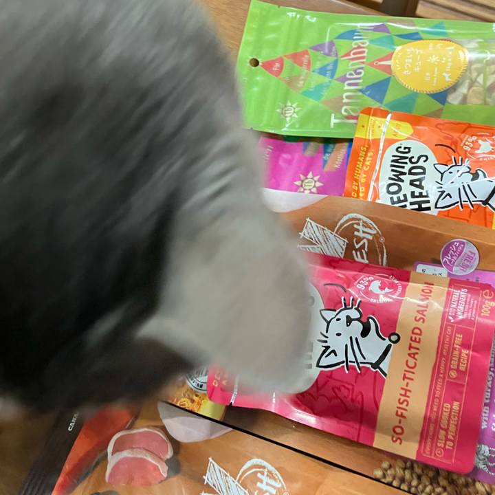 65f85cb5 b73f 47eb 9fdb 7b2cf3307884 1741768220941