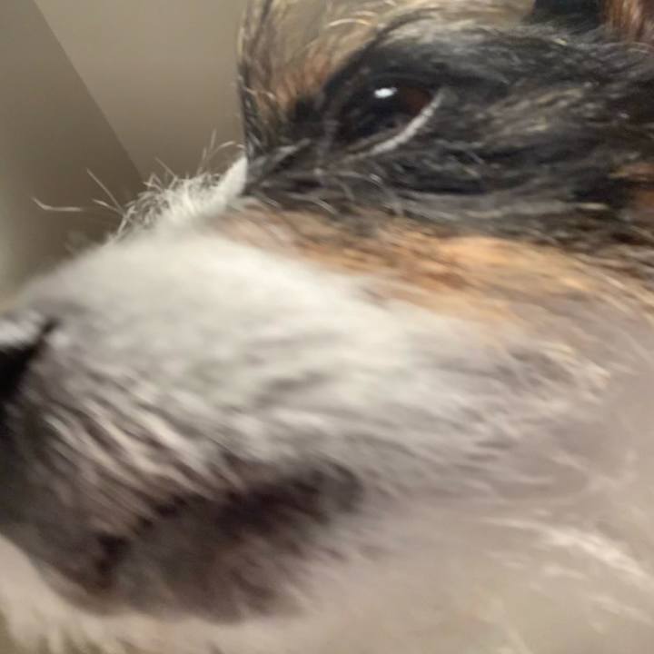 65f86508 2ce4 4a89 8169 9e989c663595 1613818009623