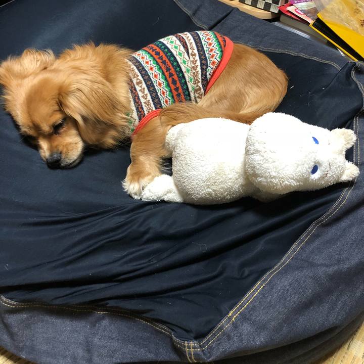 65f88568 ea27 4b55 936e 747e25b35163 1516793819075