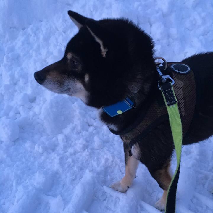 65f88dc4 e387 4499 9267 a5c42d0763f8 1519514354240