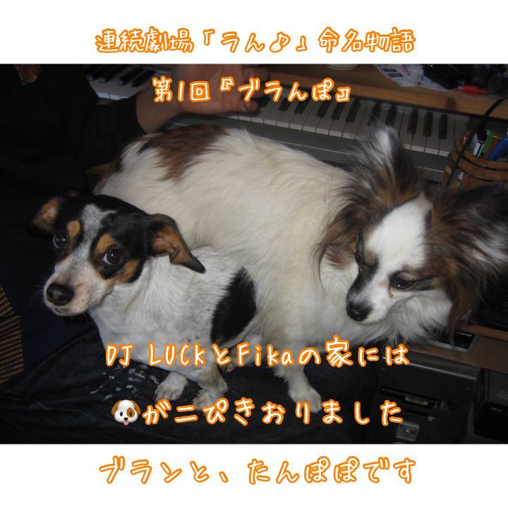 65f895da 5a14 45d7 8bb2 b5cdc6511781 1528888752431