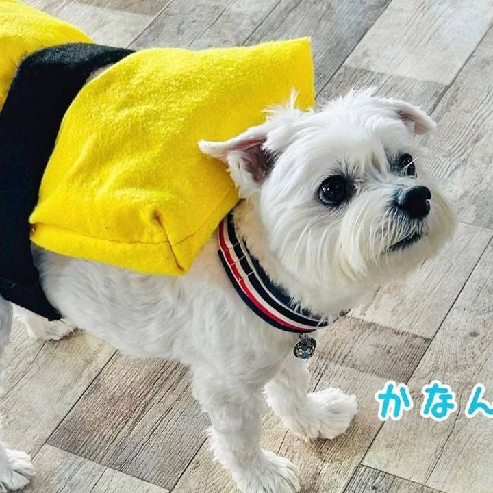 65f8fe2f 44ce 4d54 9e26 62582a4a1134 1677995399270