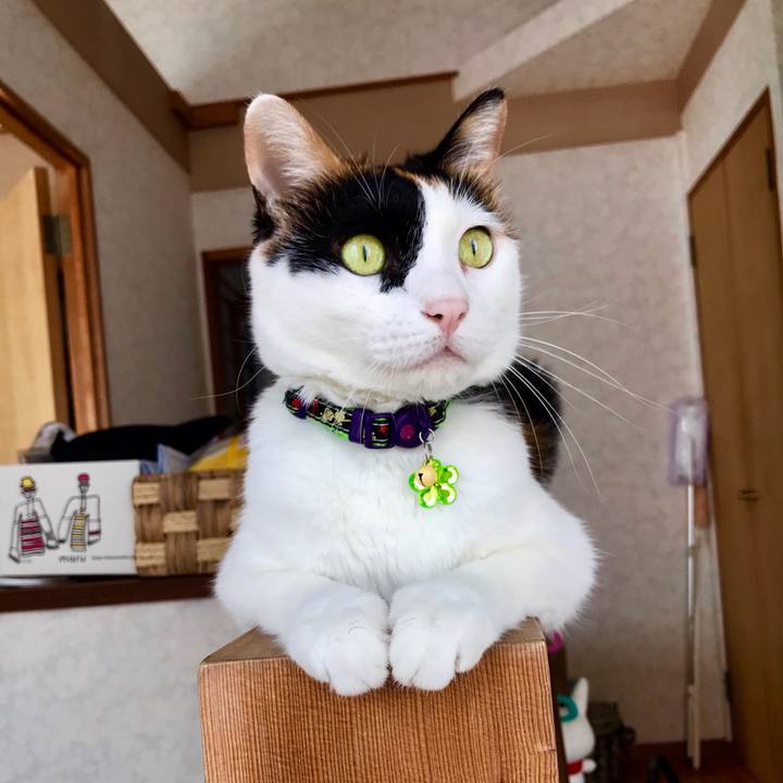 65f95c92 3211 41fb b061 b305d77916ff 1537841359346