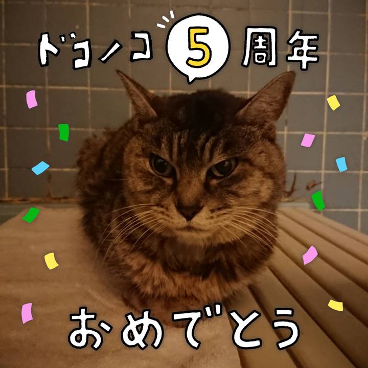 65f96cf3 9682 4295 8df8 4d6cdc6eccec 1622891222097