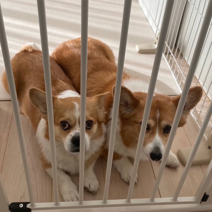 65f9a786 c161 4100 abcb aff2dea1ac23 1674620781307