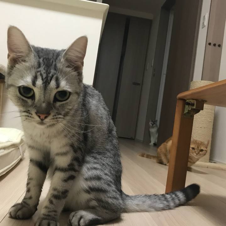 65f9dc6f 0fbf 457d 9427 cf50606b4f1f 1538739215050