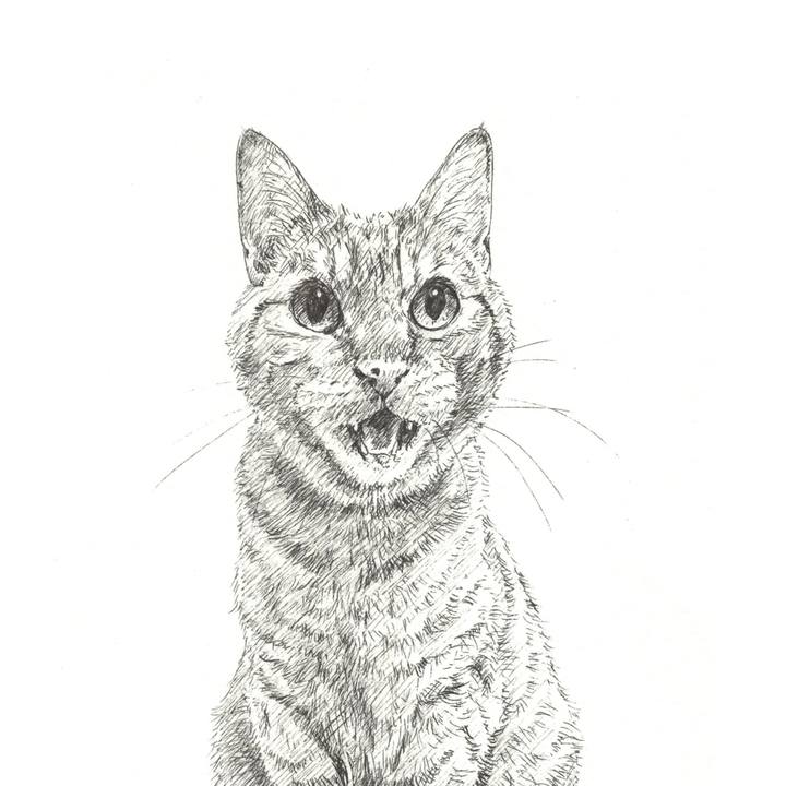 65fa1ee7 2d81 4bda a582 b3a32c5ef3fa 1572272634177