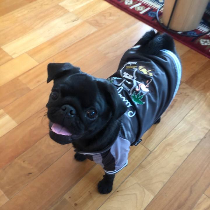 65fa2428 6c66 4e8b bbf3 cb19ed1b46bb 1604269286723