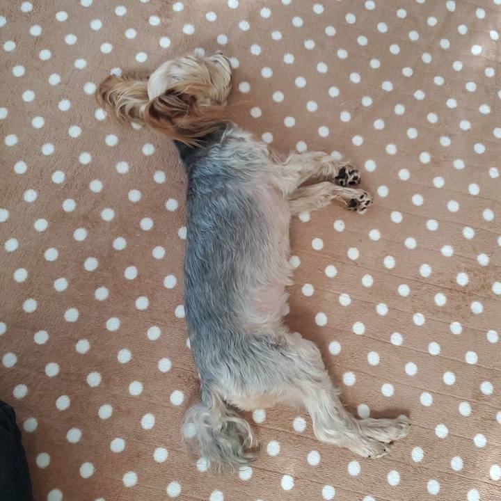 65fa329c 0644 4a73 81eb b00ca9913f57 1578714431691