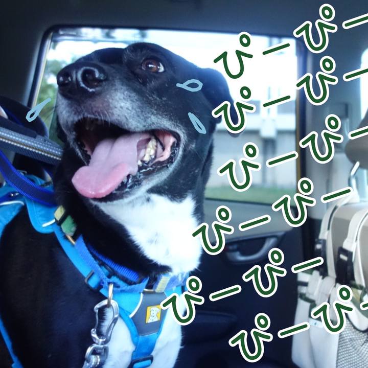 65fa5c03 53f8 448a a11e 0337dccbd794 1690540677625