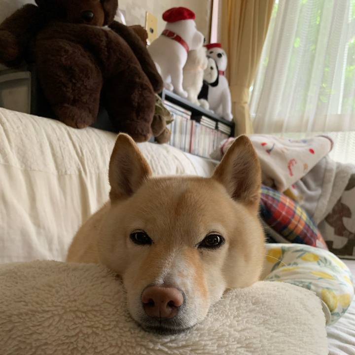 65fa63b6 cc5c 415a 9b5a 0389c562038a 1651445873890