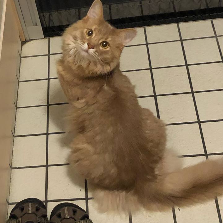 65fa6869 c731 4213 8d2b d417fd837896 1625372690504