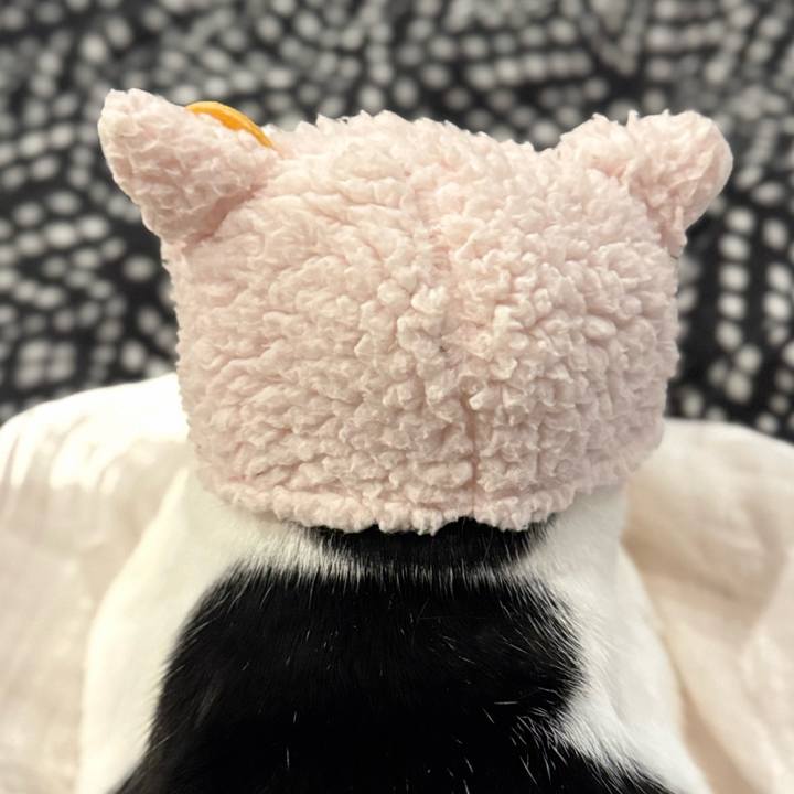 65fac259 3eed 446d 8034 29de7d5f017e 1774442295608