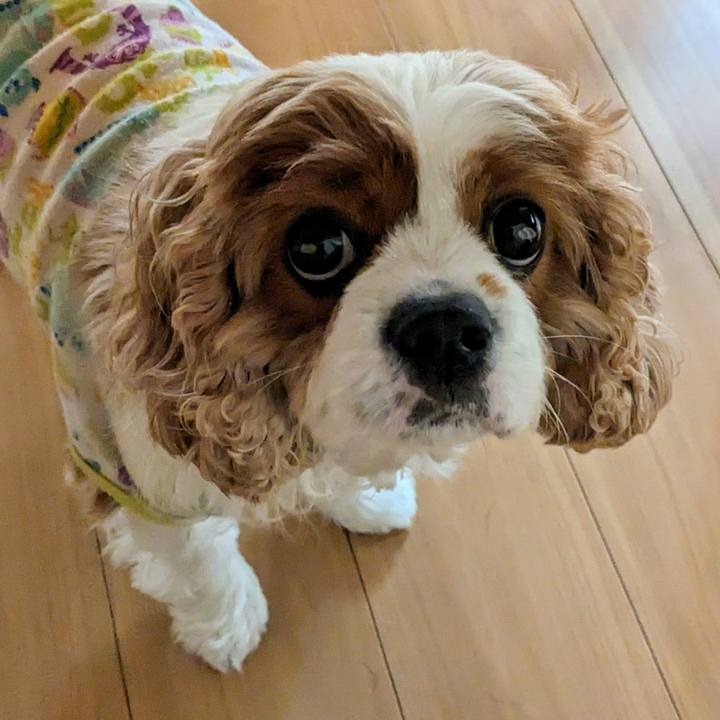 65fae15f dbe0 423a 969d 21640bc1ccdb 1714702331447