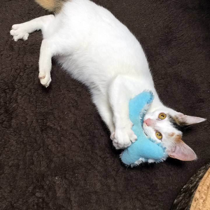 65fae9e0 15f8 46fd 8170 71208e0dfce7 1549411199084