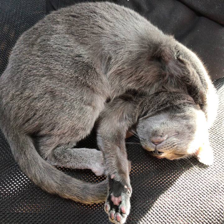 65fb0f05 79f2 4b04 9444 7922359f75b9 1508972813207