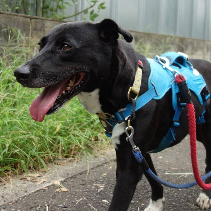 65fb4f1c a551 4a92 90ea db7a7611a301 1630369468351