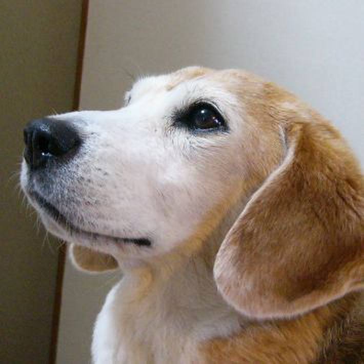 65fb577b d1f4 4c98 9a42 747013580b1d 1684200233006