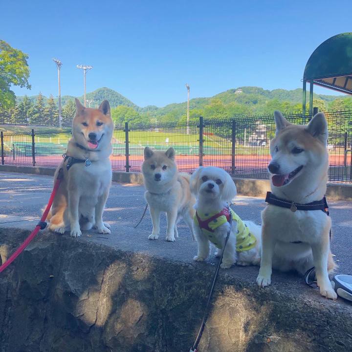 65fb75dd de6e 410b a968 2c787fee2d96 1596079112558