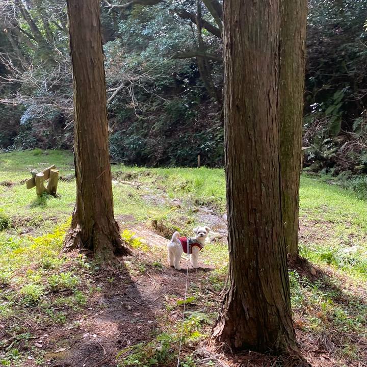 65fb9adf faec 4c48 80e7 e8397a0fec32 1648207402674