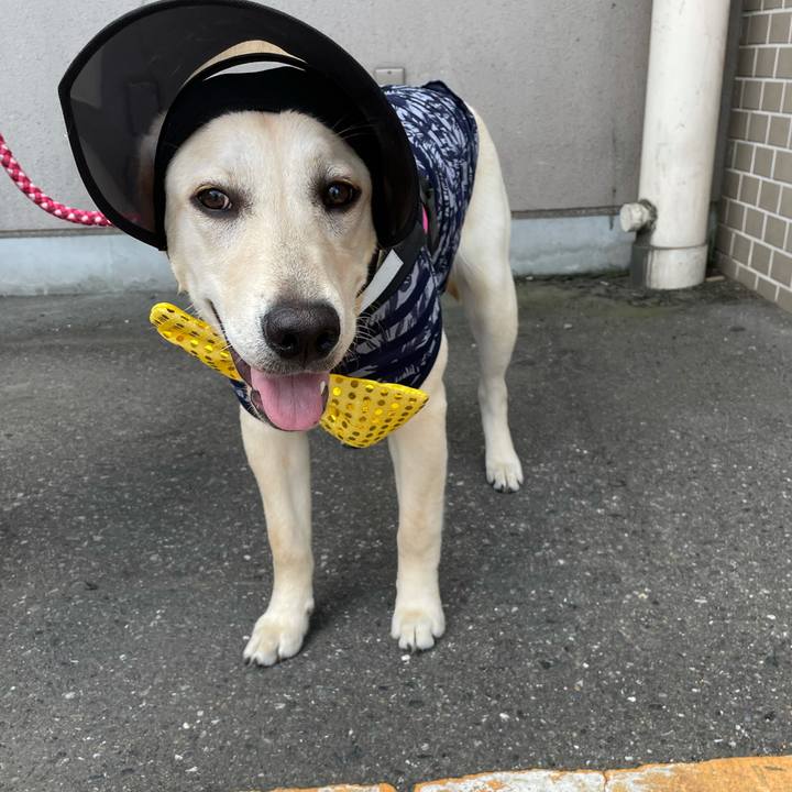 65fbac9b 9971 4ea0 a8b9 16bc9b053ddf 1624419996966