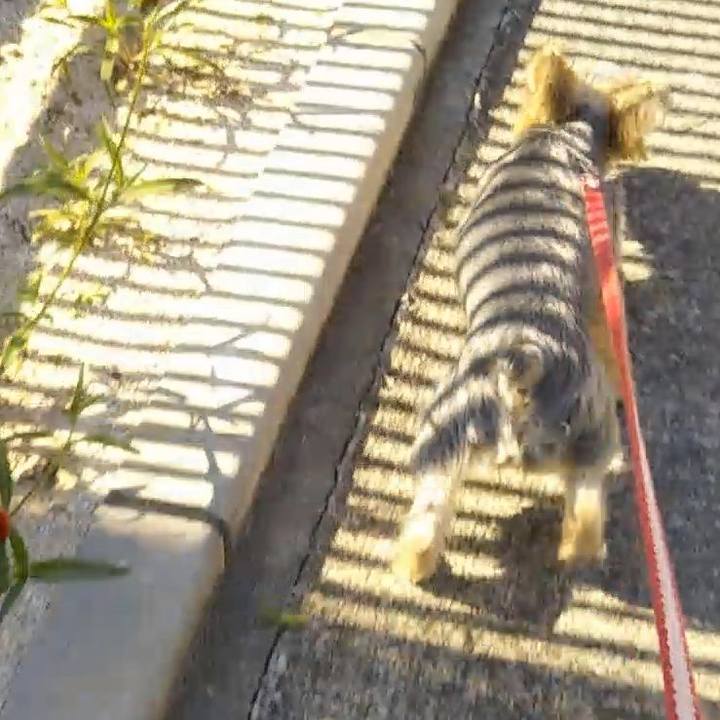 65fbe2ff 59ef 4ff5 90ea d0f1f821b413 1603277725231