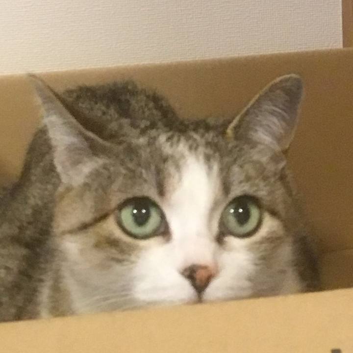 65fbe523 7560 4476 9f97 59768011dad5 1774998906869