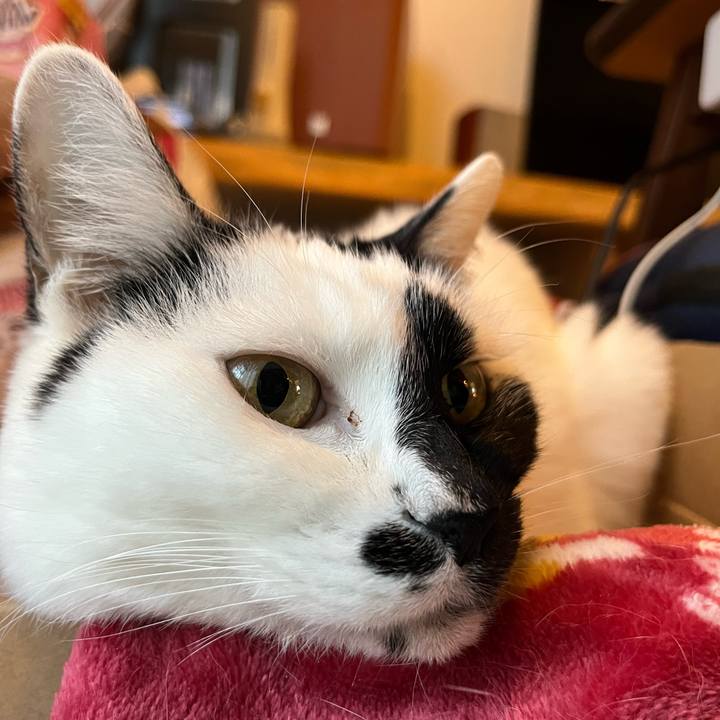 65fbf8f3 1c0b 4734 bf3c d2b6ba1e73aa 1771366897903