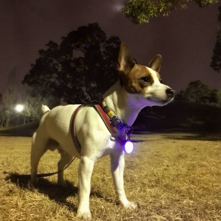 65fc06cb 71f5 48c7 810d 6b6bfb50b56e 1516978583973