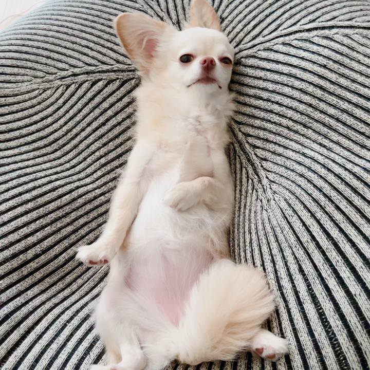 65fc429c dcba 48a0 83ac 434beef2724e 1717399554755