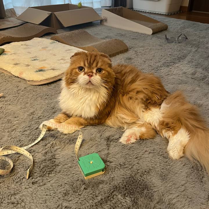 65fc50dc de1b 4076 a07b f26745bd09ae 1770792148493