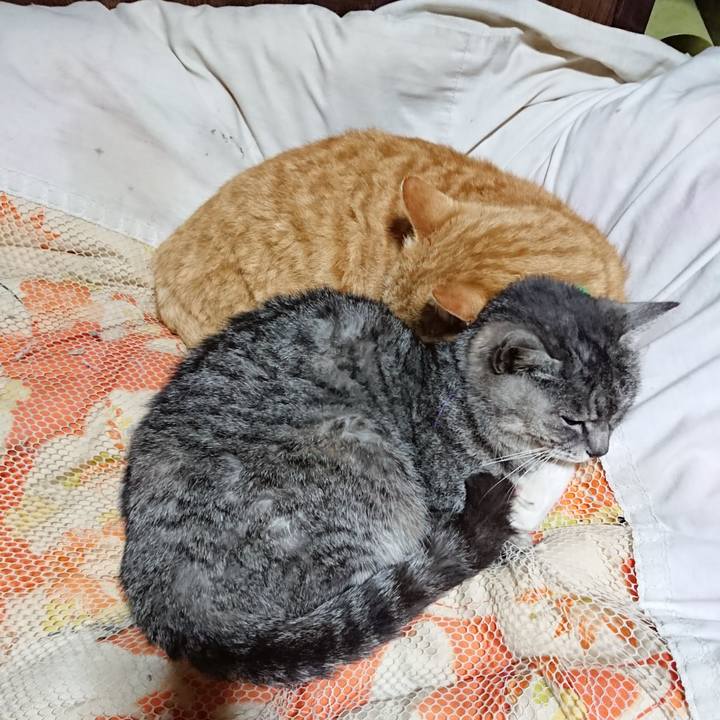 65fc6aed ebc0 4607 afb2 a5b66f3cc847 1583930923361