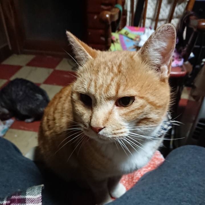 65fc9cd8 e135 48f2 876f 7a3023fb63bf 1576355460709