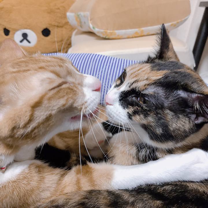 65fc9e93 5eb7 4d24 ac1b 0459d4790bed 1568367360715