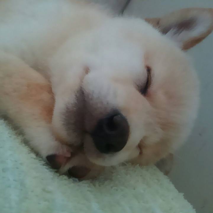 65fcda22 e191 4bb2 aacf 51ab4510fbb3 1510488678745