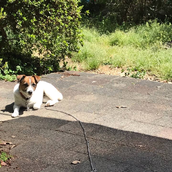 65fd0156 7e3f 49f8 aa20 7f3a4e3b495a 1555128958984