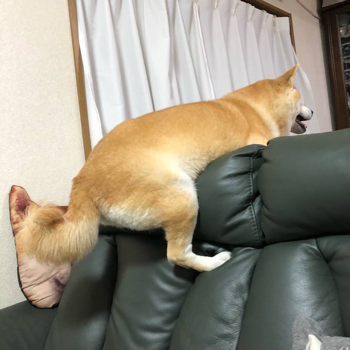 65fd0618 5fa0 4b52 916d ac891e971360 1592748333836