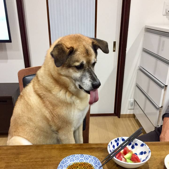 65fd9212 a36d 4f63 9198 c2f0e6824894 1566555518354