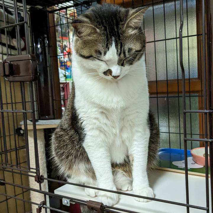 65fd9688 bfa6 46c5 9441 d5c374d35ae6 1674476041208